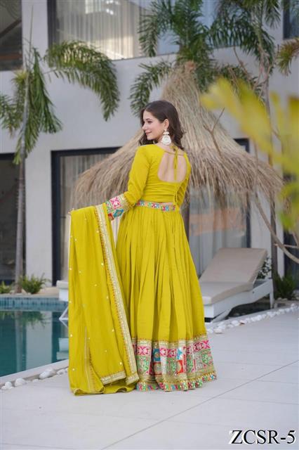 Coding Embroidery Siqunce Work with zip In Choli