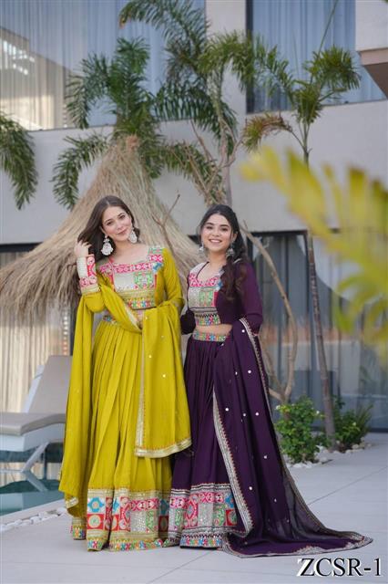 Coding Embroidery Siqunce Work with zip In Choli