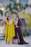 Coding Embroidery Siqunce Work with zip In Choli