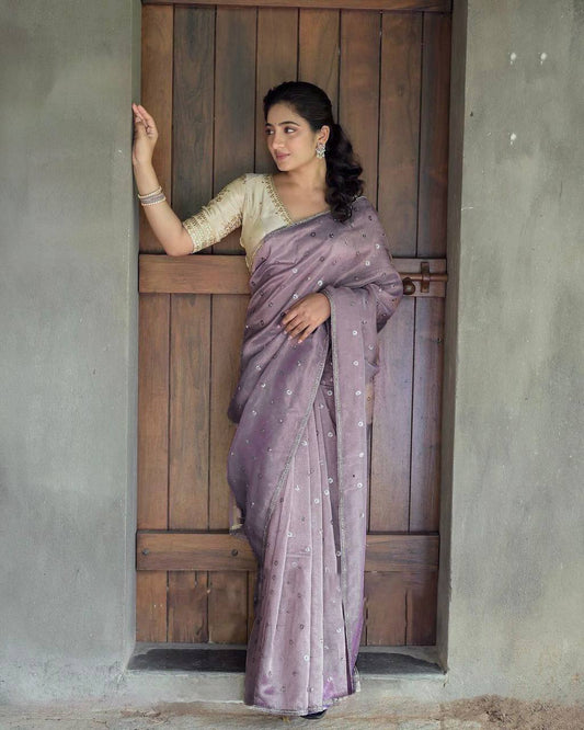 Twill Net Sequence With Fancy Lace Work Saree With Benglori Blouse