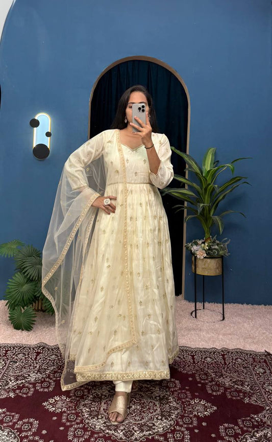 Chimmer Embroidery With Fancy Lace Work Gown