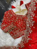 Pure soft Silk Silk Party Look Saree