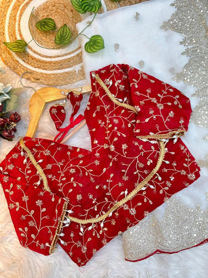 Beige Color Sequins & Zari Embroidery Work Saree