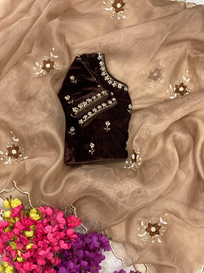 Designer Light Organza With Moti Cutdana Border & Heavy Handwork Saree