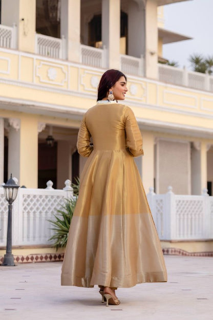 Pure Banarasi Viscous With Fancy Lace Work Gown