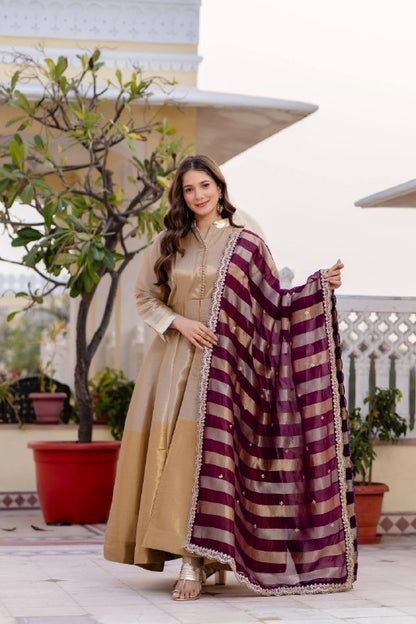 Pure Banarasi Viscous With Fancy Lace Work Gown