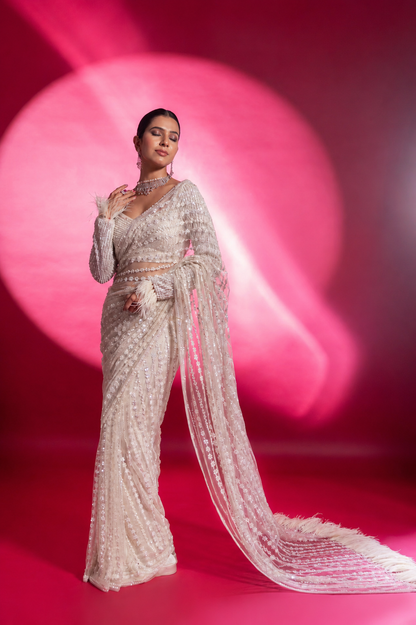 Mono Net Sequins Embroidered Saree Set