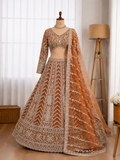 Beautifull Butterfly Net Sequience Coding Work Lehenga