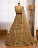 Beautifull Premium Butterfly Net WIth Embellished Embroidery Work Lehega