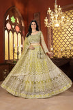 Net Embroidery Sequence Design Work With Cancan And Canvas Lehenga