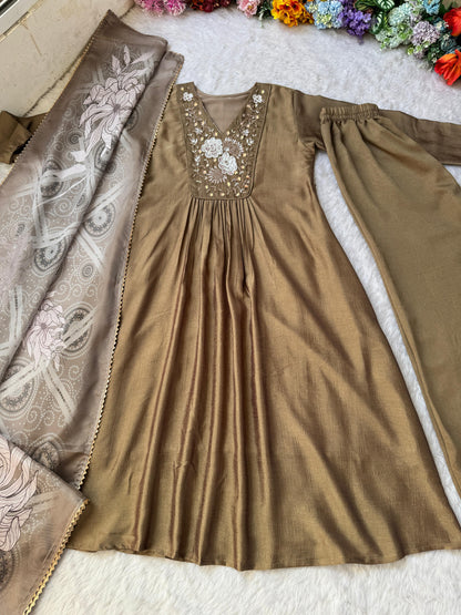 Heavy Vichitra Silk Handwork Gown