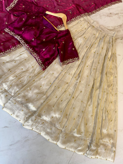 SOUTH STYLE SPECIAL VISCOS ZARI TISSUE SILK LEHENGA CHOLI