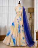 Jimmy Organza Printed Lehenga Set